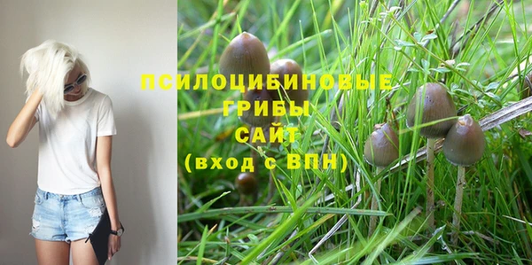 прущая мука Приозерск