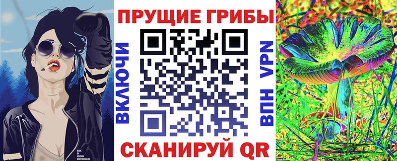 площадка состав  Снежинск  Псилоцибиновые грибы Psilocybe 